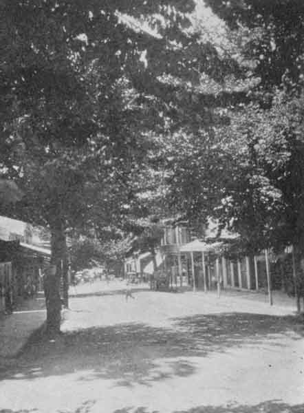 Main Street, Sonora, "So Shaded by Trees That Buildings Are Half-hidden"