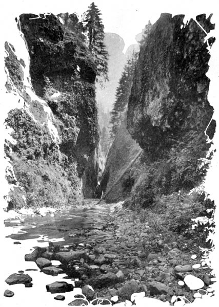 Oneonta Gorge