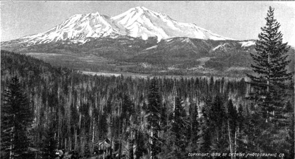 Mount Shasta