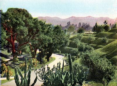 Busch Sunken Gardens, Pasadena