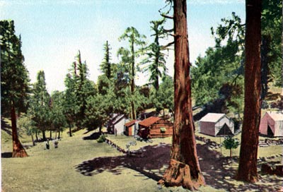 Strain's Camp - Mt. Wilson
