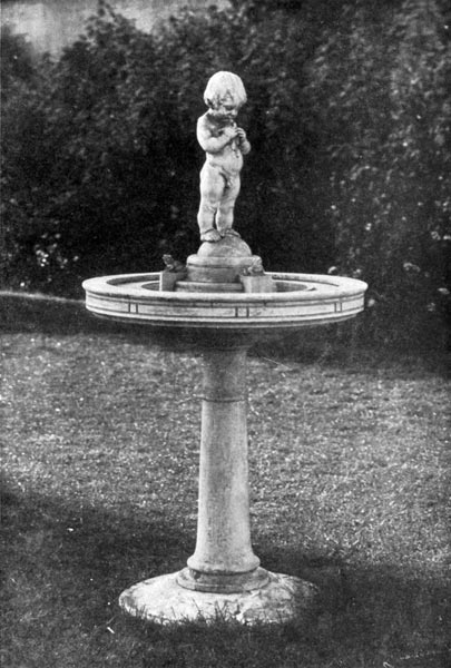 Bird Fountain Baby