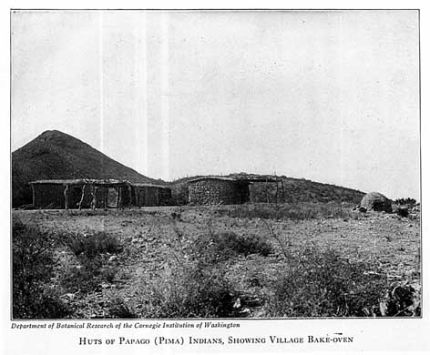 Huts of Papago (Pima) Indians, Showing Village Bake-oven