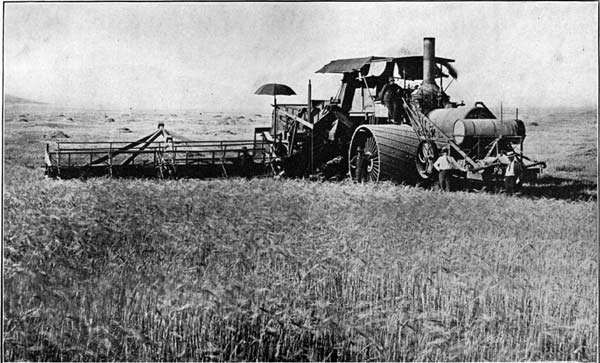 Harvesting in San Joaquin Valley