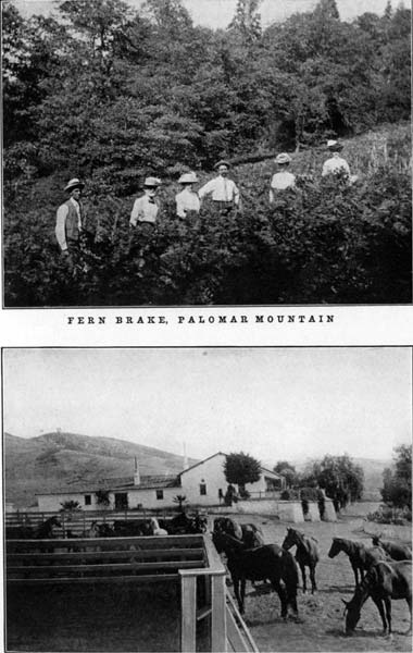 Fern Brake, Palomar Mountain and The Margarita Ranch House