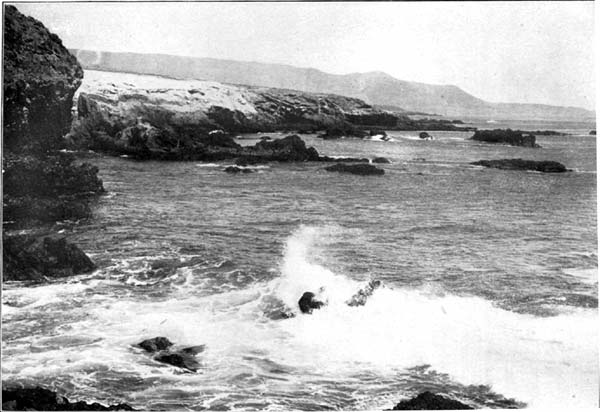 Smugglers' Cove, San Clemente Island