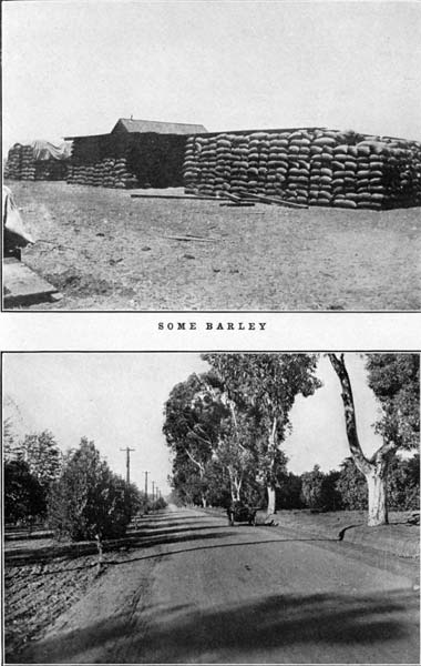 Some Barley and Victoria Avenue, Riverside