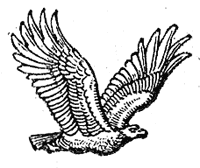 Eagle