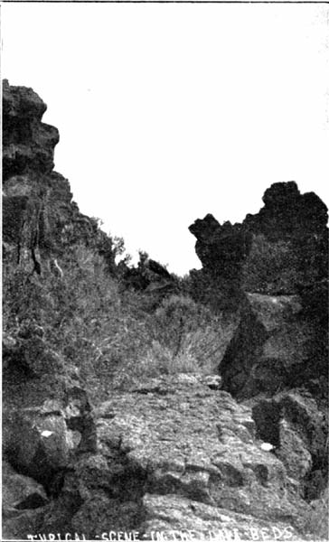 Typical Scene in the Lava Beds