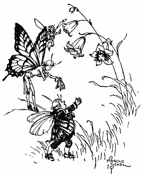 The Flower Fairies